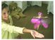 Літаюча лялька фея Flying Fairy | Іграшка для дівчаток 94844 фото 3