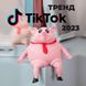 Антистрес іграшка "Еластична свиня" Сквіш 15 см PIG25 фото 6